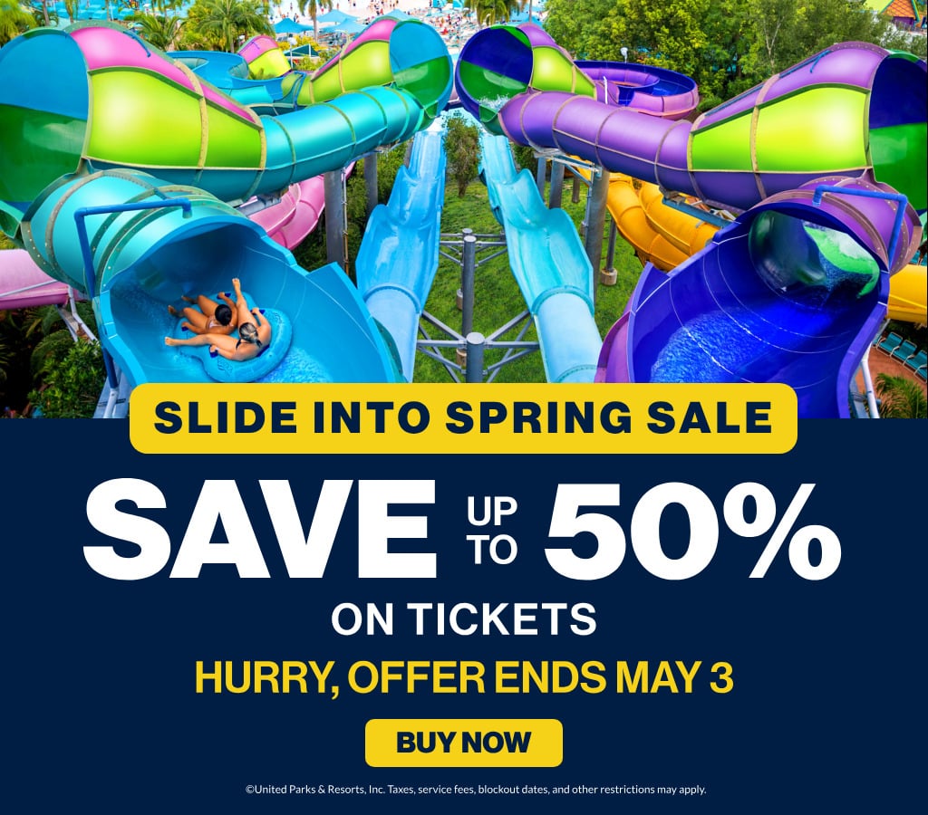 Slide Into Spring