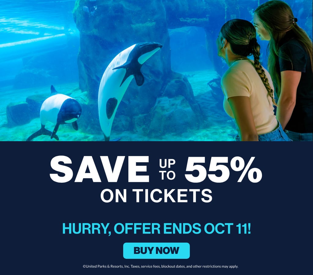 Save up to 55% on Tickets