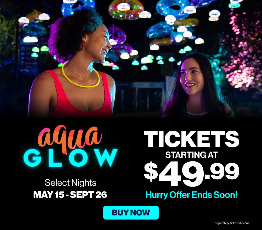 Aquaglow