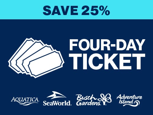 Flash Sale