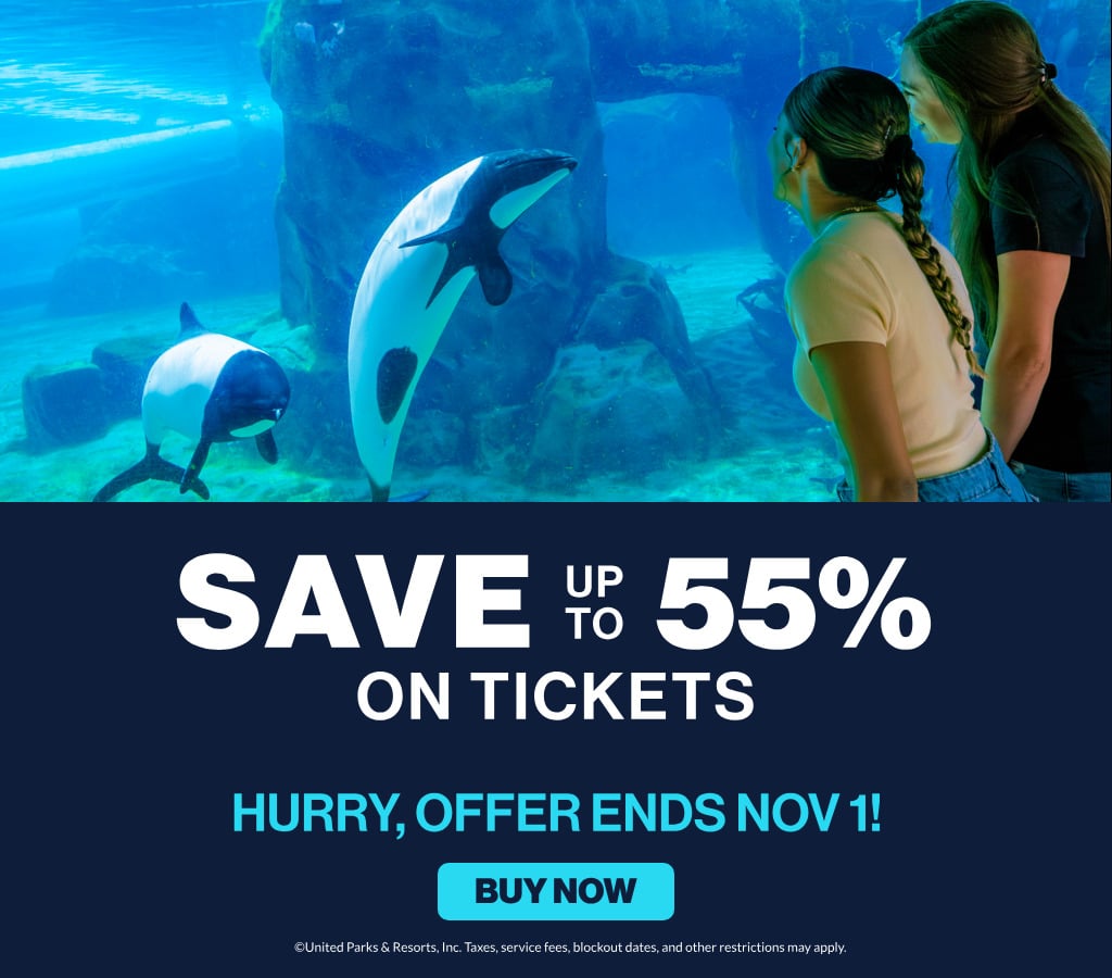 Save up to 55% on Tickets